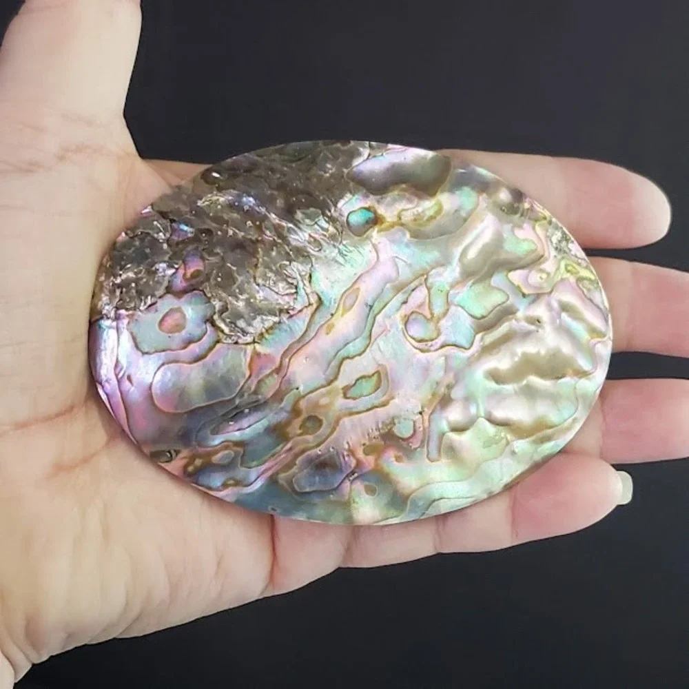 Large Oval Abalone Shell Belt Buckle Iridescent Mother of Pearl Western Boho